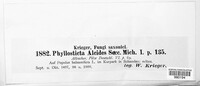 Phyllosticta alcides image